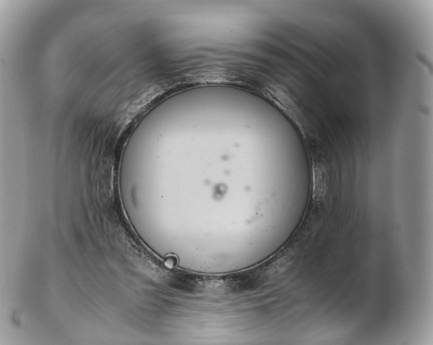 X0000102840301200808251202