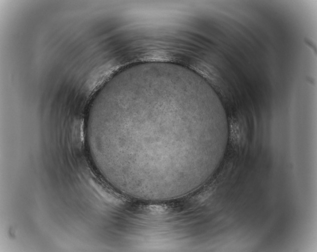 X0000102840302200808251202