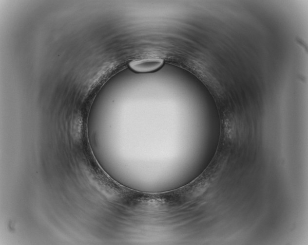 X0000102840304200808251202