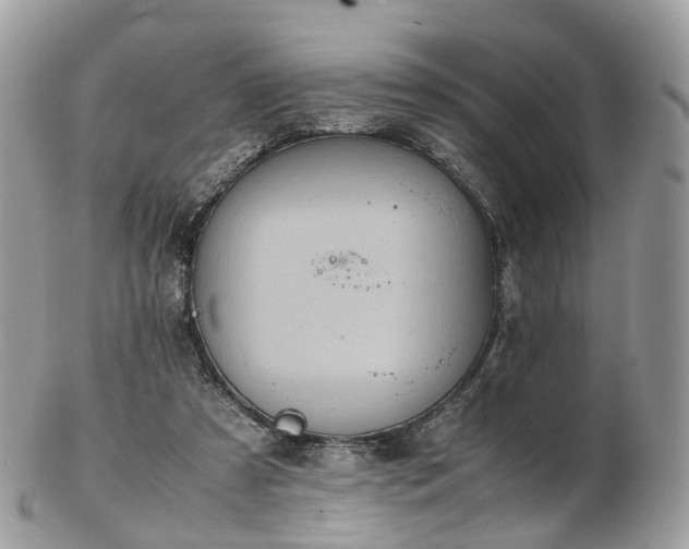 X0000102840305200808251202