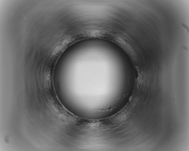 X0000102840306200808251202