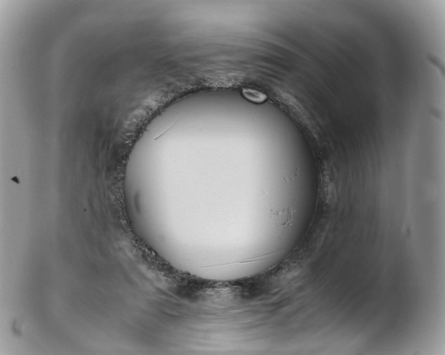 X0000102840307200808251202