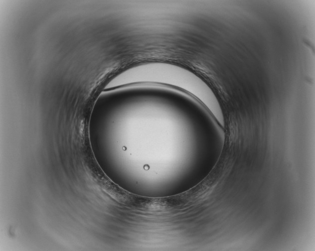 X0000102840308200808251202