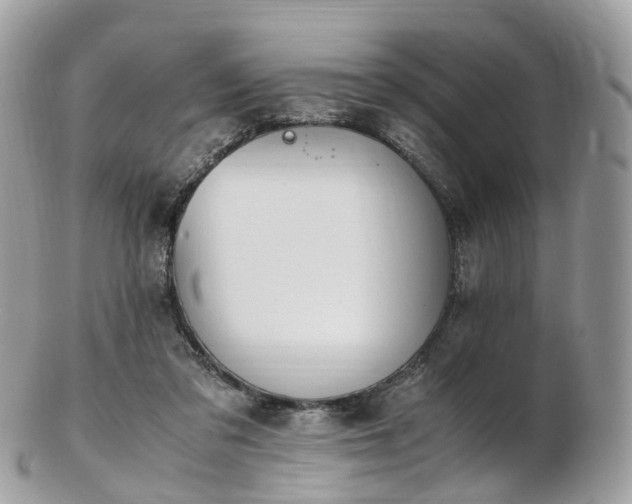 X0000102840309200808251202