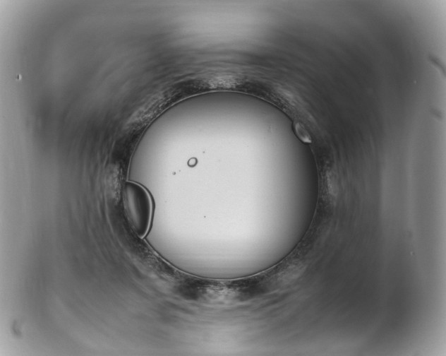 X0000102840311200808251202