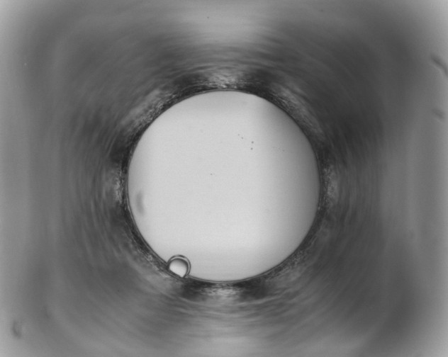 X0000102840313200808251202