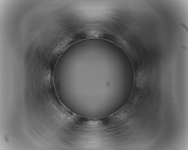 X0000102840314200808251202