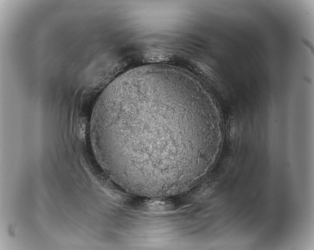 X0000102840315200808251202