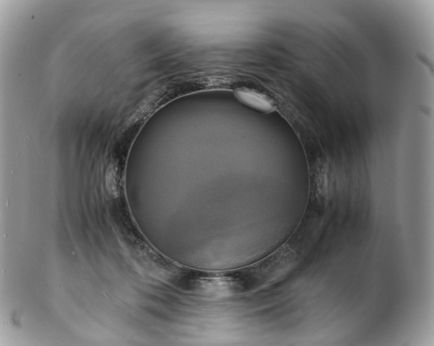 X0000102840316200808251202