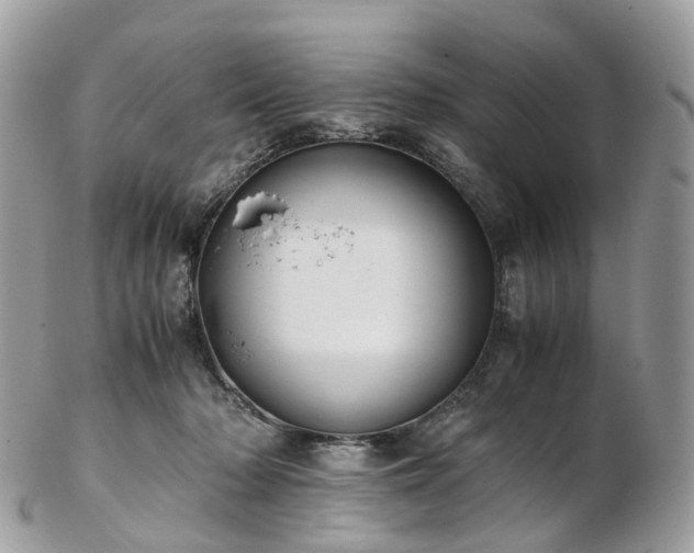 X0000102840318200808251202