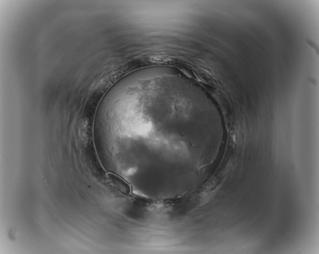 X0000102840319200808251202