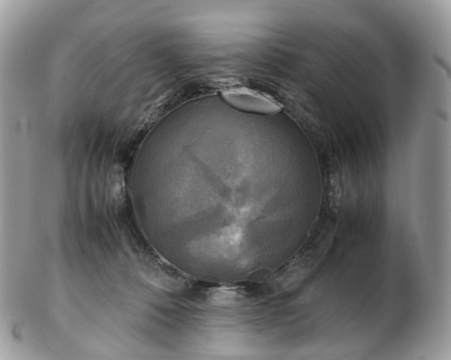 X0000102840320200808251202