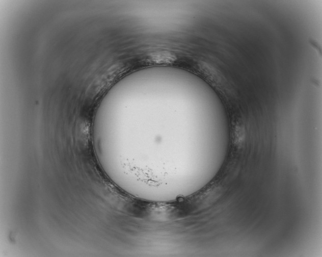 X0000102840321200808251202