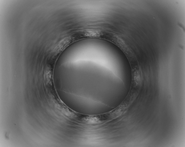 X0000102840322200808251202