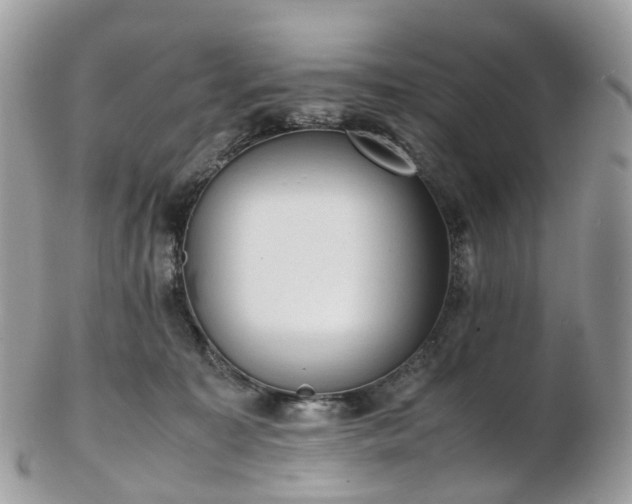 X0000102840323200808251202