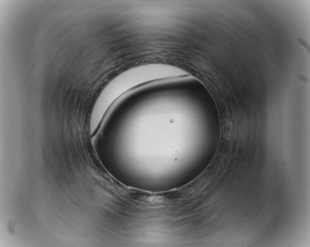 X0000102840324200808251201