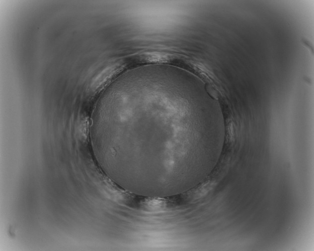 X0000102840325200808251201