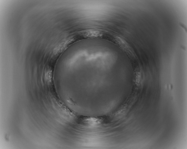 X0000102840326200808251201