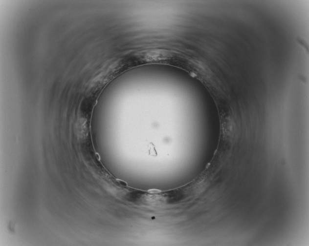 X0000102840327200808251201