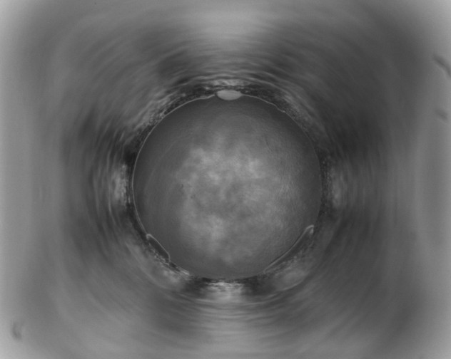 X0000102840328200808251201