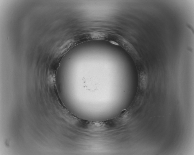 X0000102840329200808251201