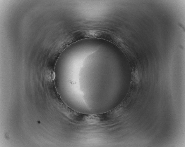 X0000102840331200808251201