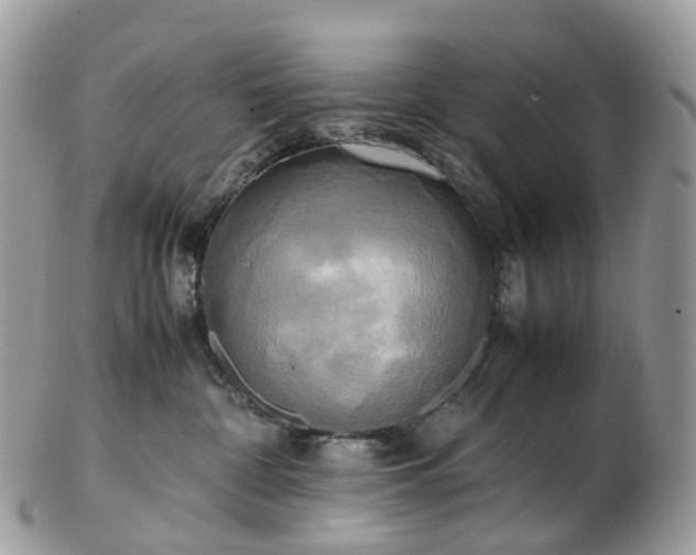 X0000102840332200808251201