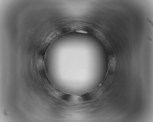 X0000102840333200808251201