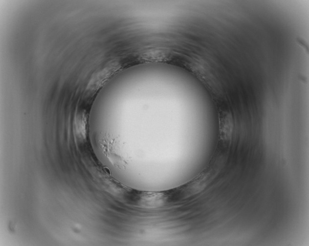 X0000102840334200808251201