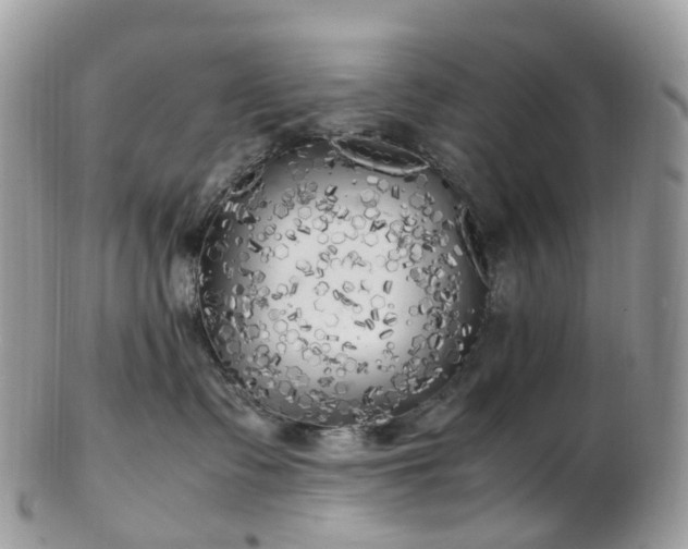 X0000102840335200808251201