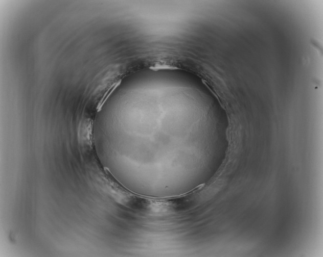 X0000102840336200808251201