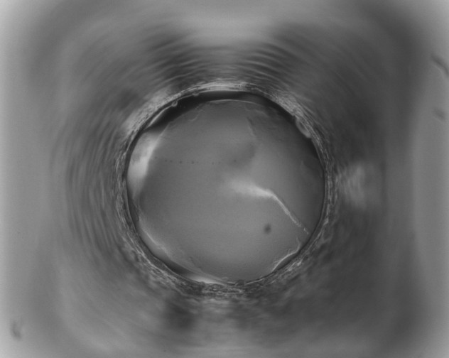 X0000102840337200808251201