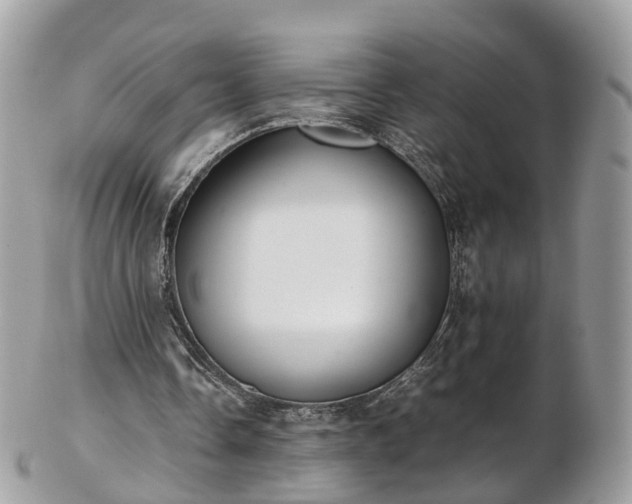 X0000102840338200808251201