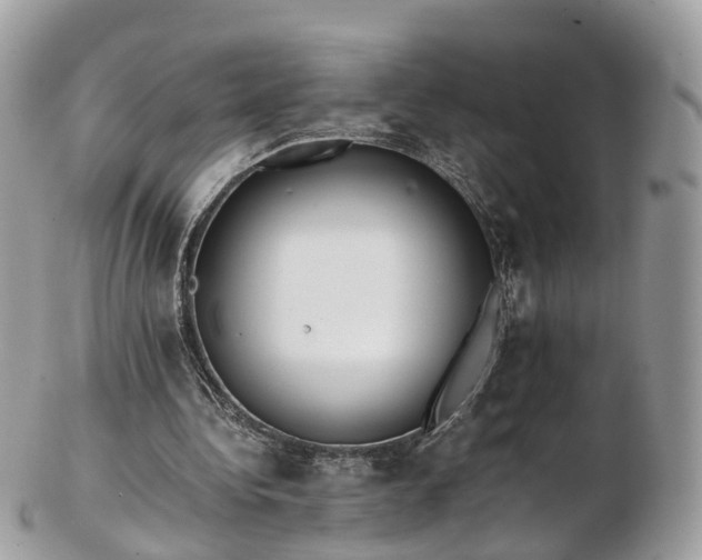 X0000102840340200808251201