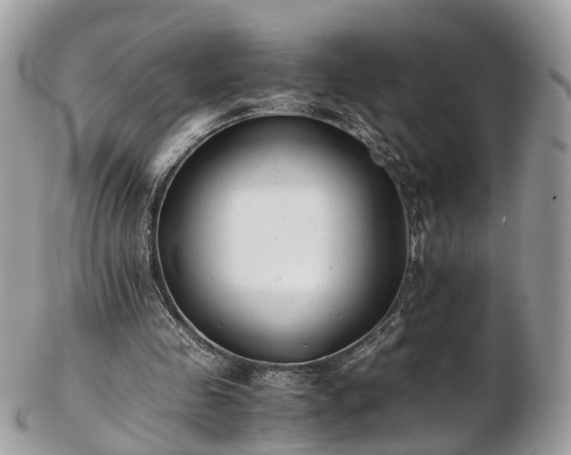 X0000102840341200808251201