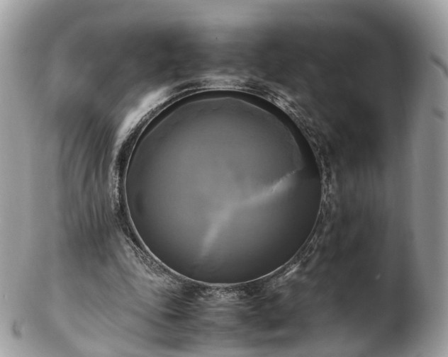 X0000102840343200808251201