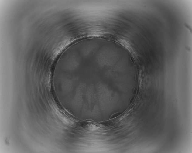 X0000102840346200808251201