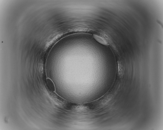 X0000102840348200808251201