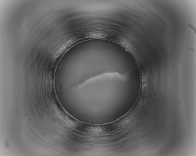 X0000102840349200808251201