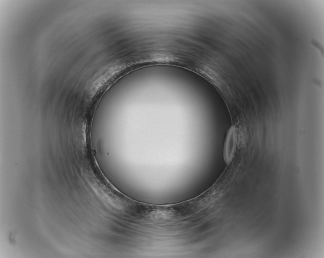 X0000102840350200808251201