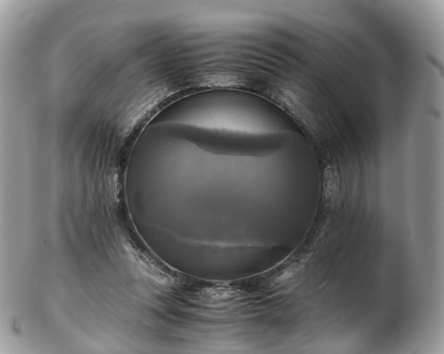 X0000102840351200808251201