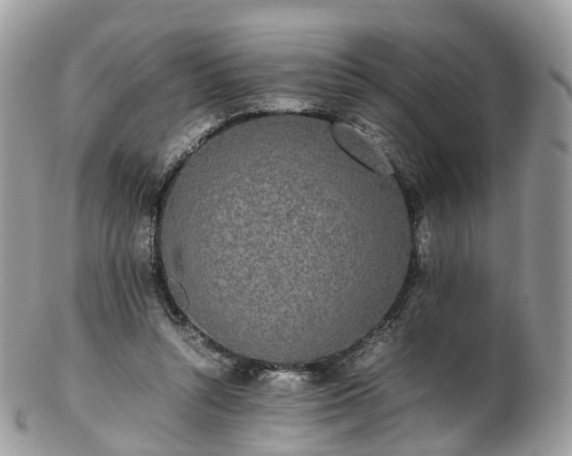 X0000102840352200808251201