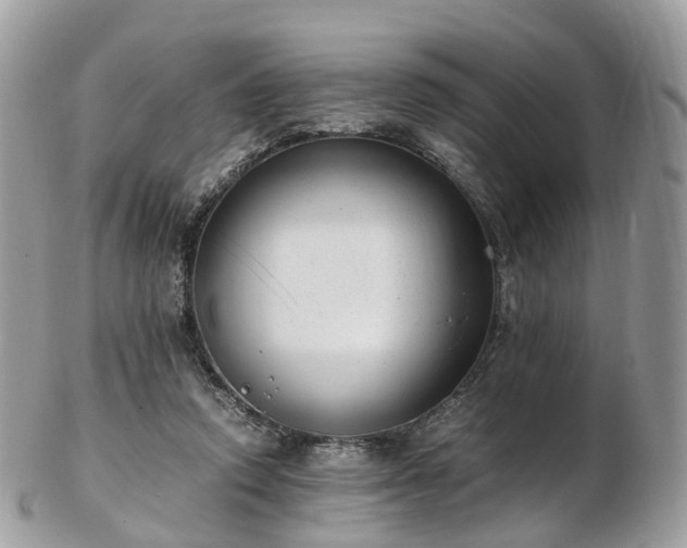 X0000102840354200808251201