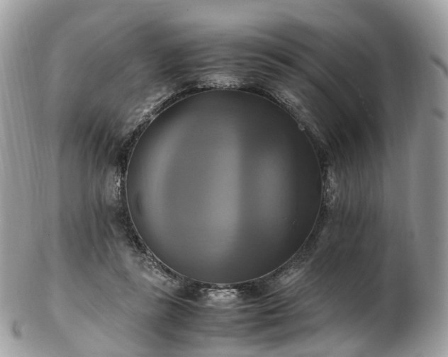 X0000102840355200808251201