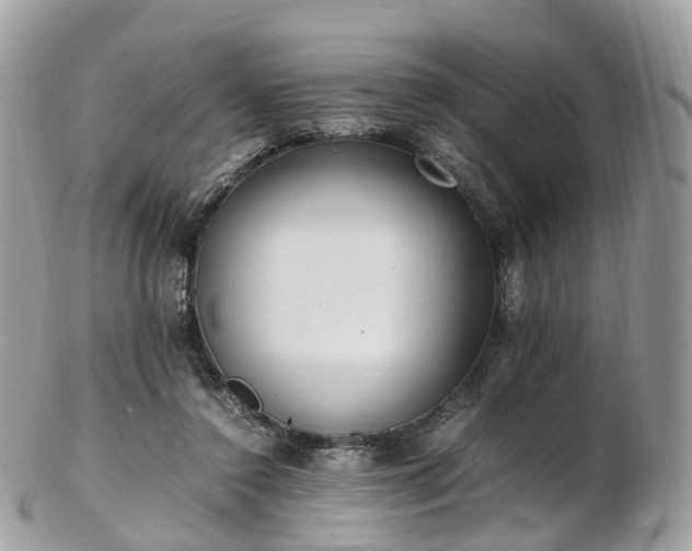 X0000102840356200808251201