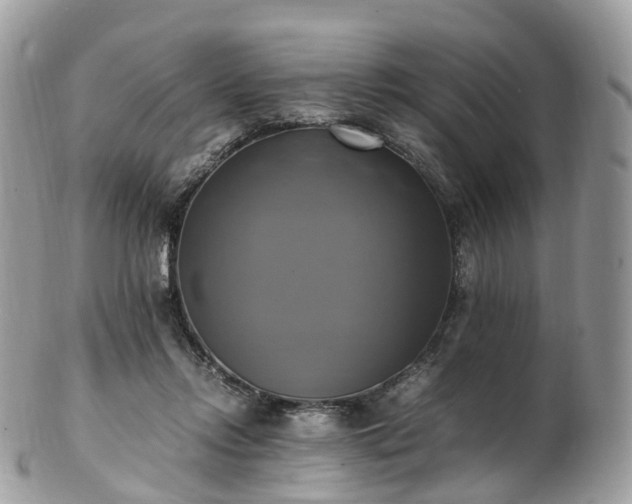 X0000102840358200808251201