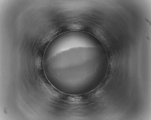 X0000102840359200808251201