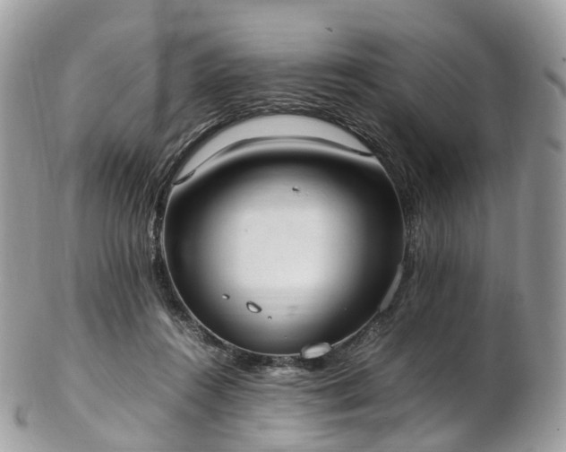 X0000102840360200808251201