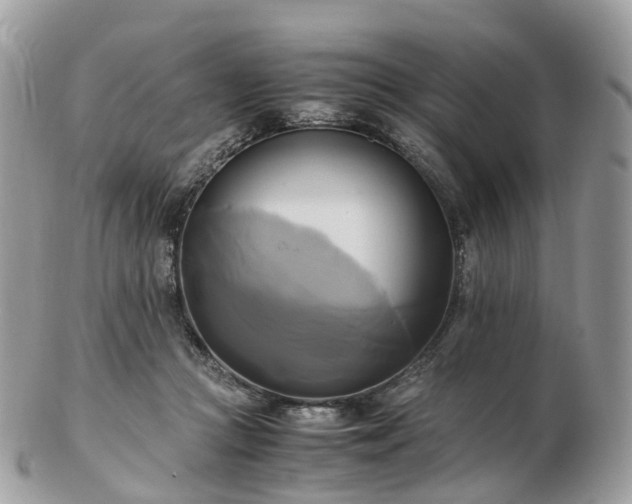 X0000102840361200808251201