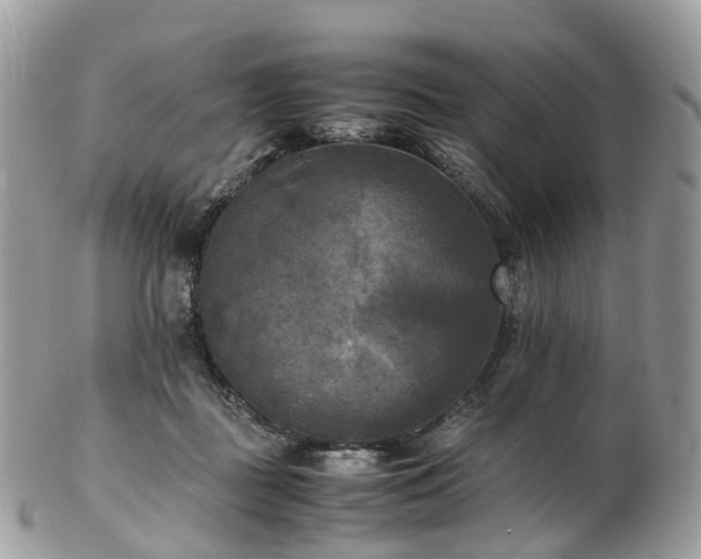 X0000102840363200808251201